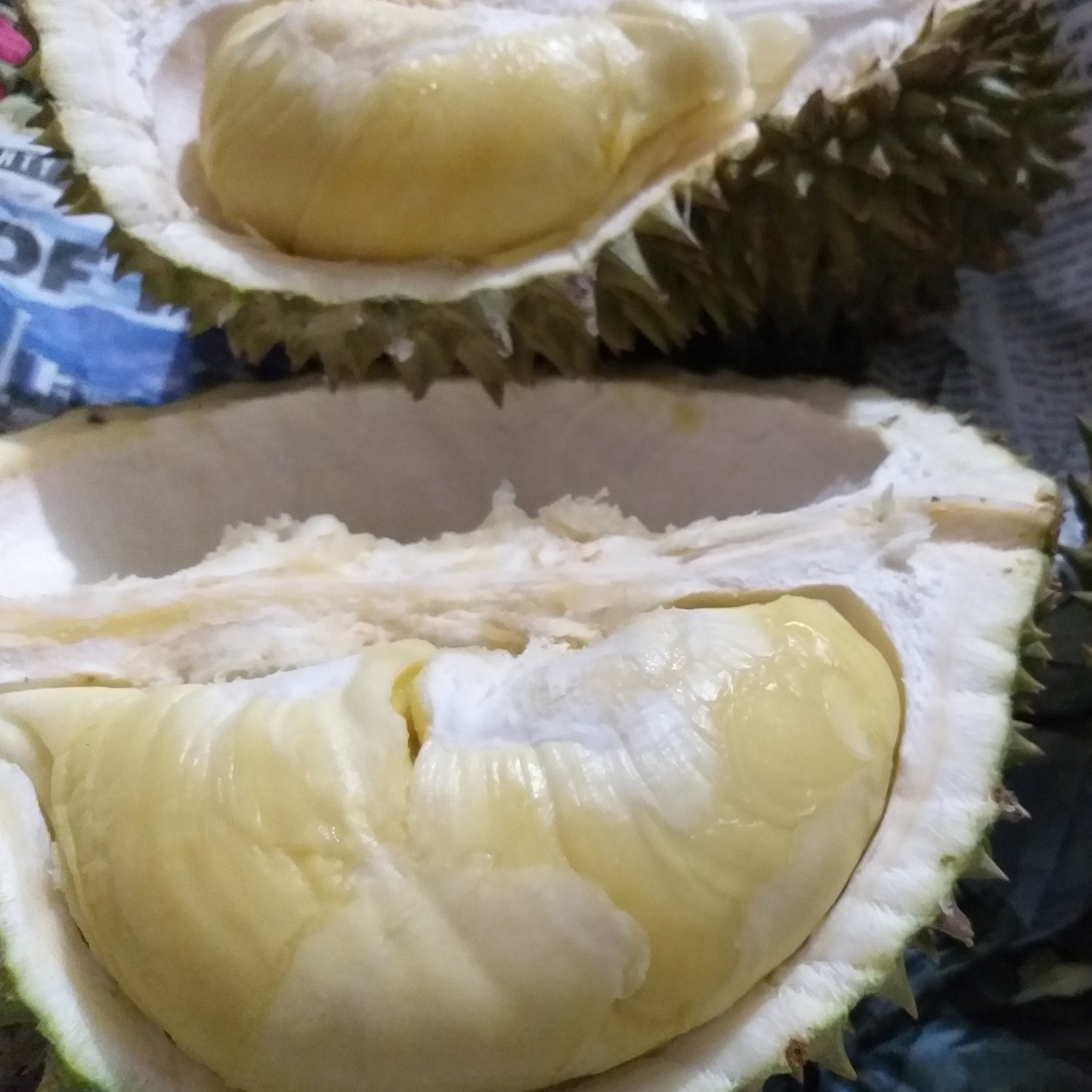 Fresh Davao Durian Fruit (Puyat Variety) - order price/kilo - Farm2Metro