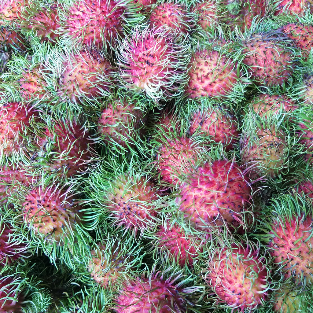 Fresh Rambutan (Tuklapin RR)- order price/500 grams - Farm2Metro