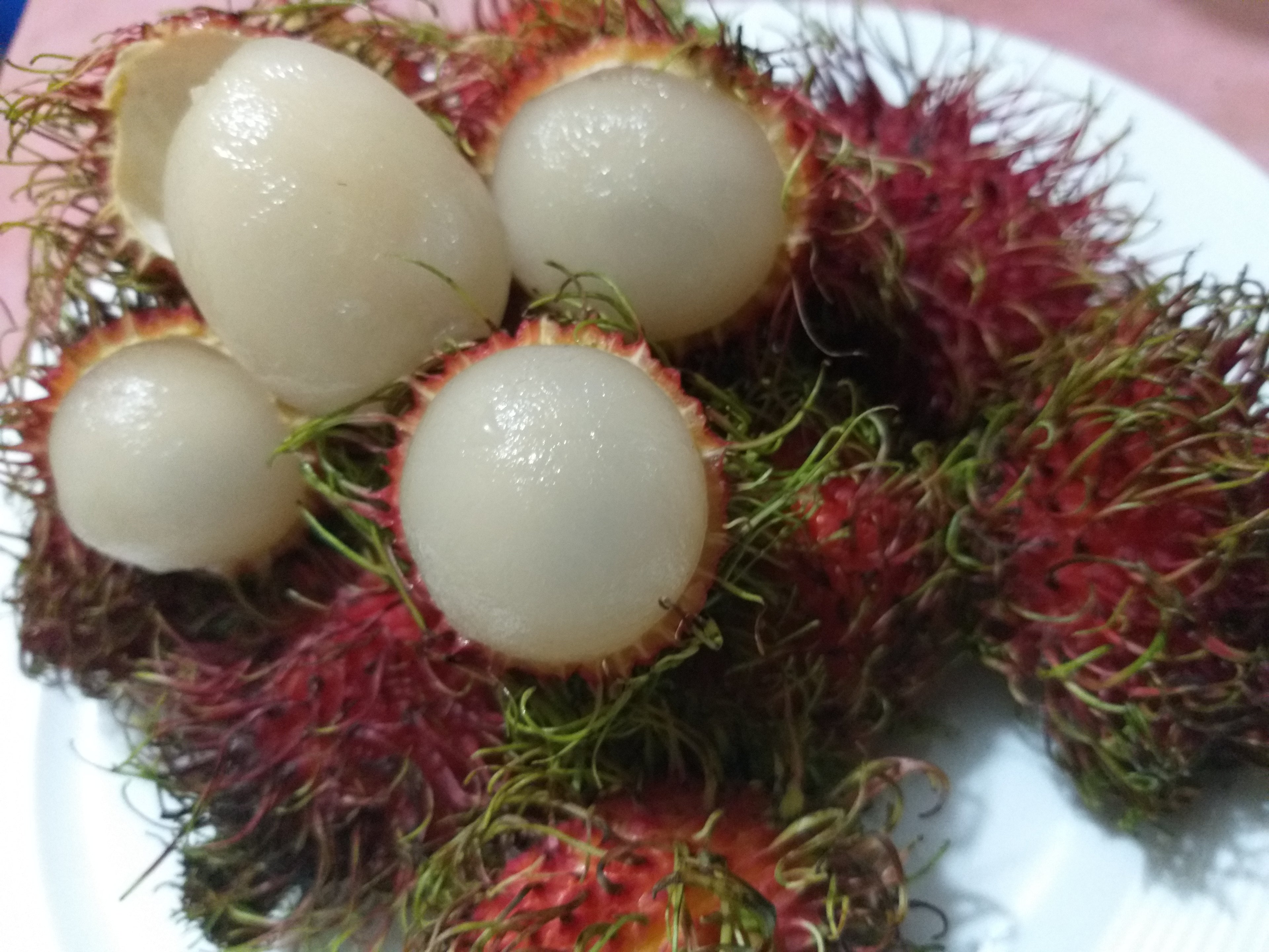 Fresh Rambutan (Tuklapin RR)- order price / kilo - Farm2Metro