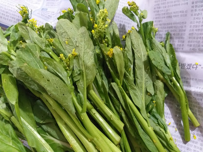 Fresh Organic Choysum| Chaysim - order price / 250 grams