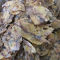 Sun-Dried Squid (Pusit Lapad) from Cebu - order price / Kilo