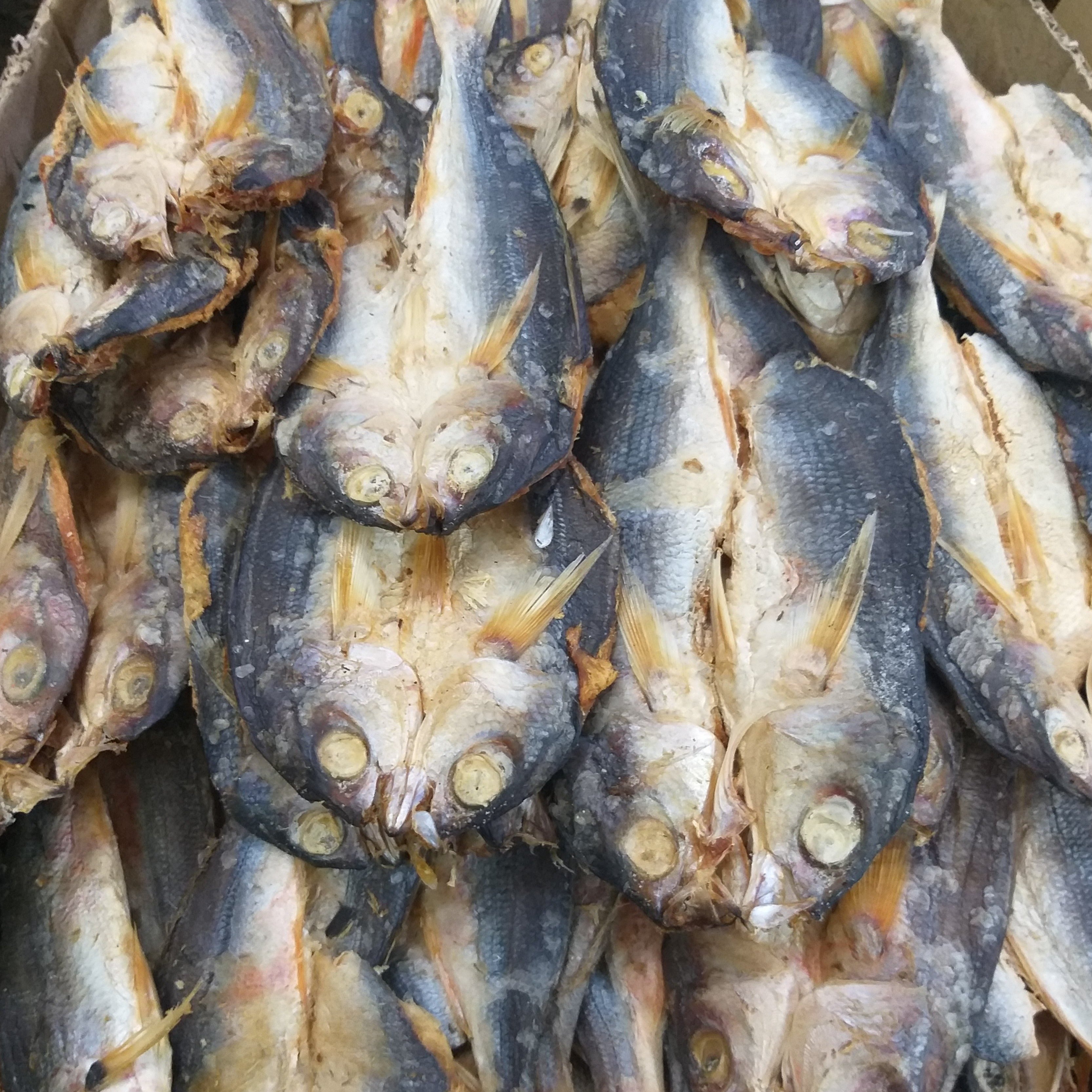 曬乾 Dalagang Bukid - 訂貨價 / 250 克