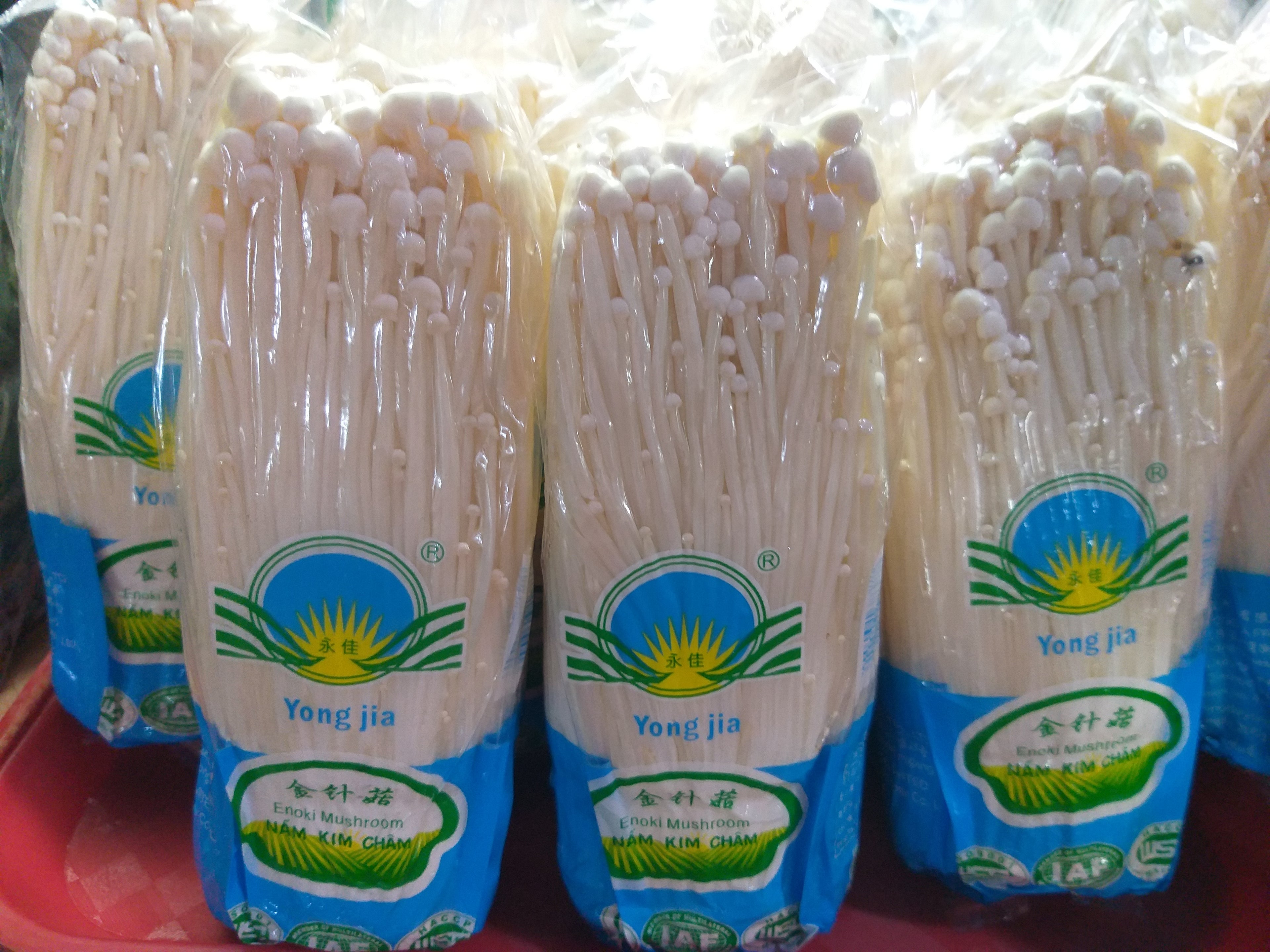 新鮮進口金針菇 [Enokitake] 蘑菇 - 訂貨價 / 包 [200gms]