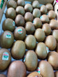 Fresh Kiwi Fruit Green Premium variety- order price / piece