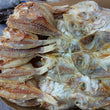 Dried Fish - Bisugo | Besugo -  order price / 100 grams