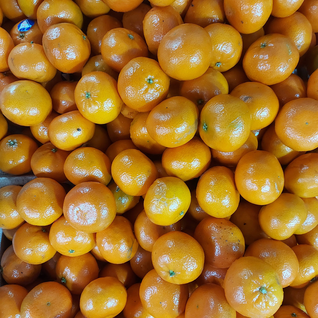 甜椪柑[中國蜜橙]-訂貨價/個