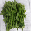 Fresh Local Organic Chayote | Sayote Tops order price [800g - 1 kilo] bundle