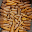 Fresh Local Organic Carrots - order price / 500 grams