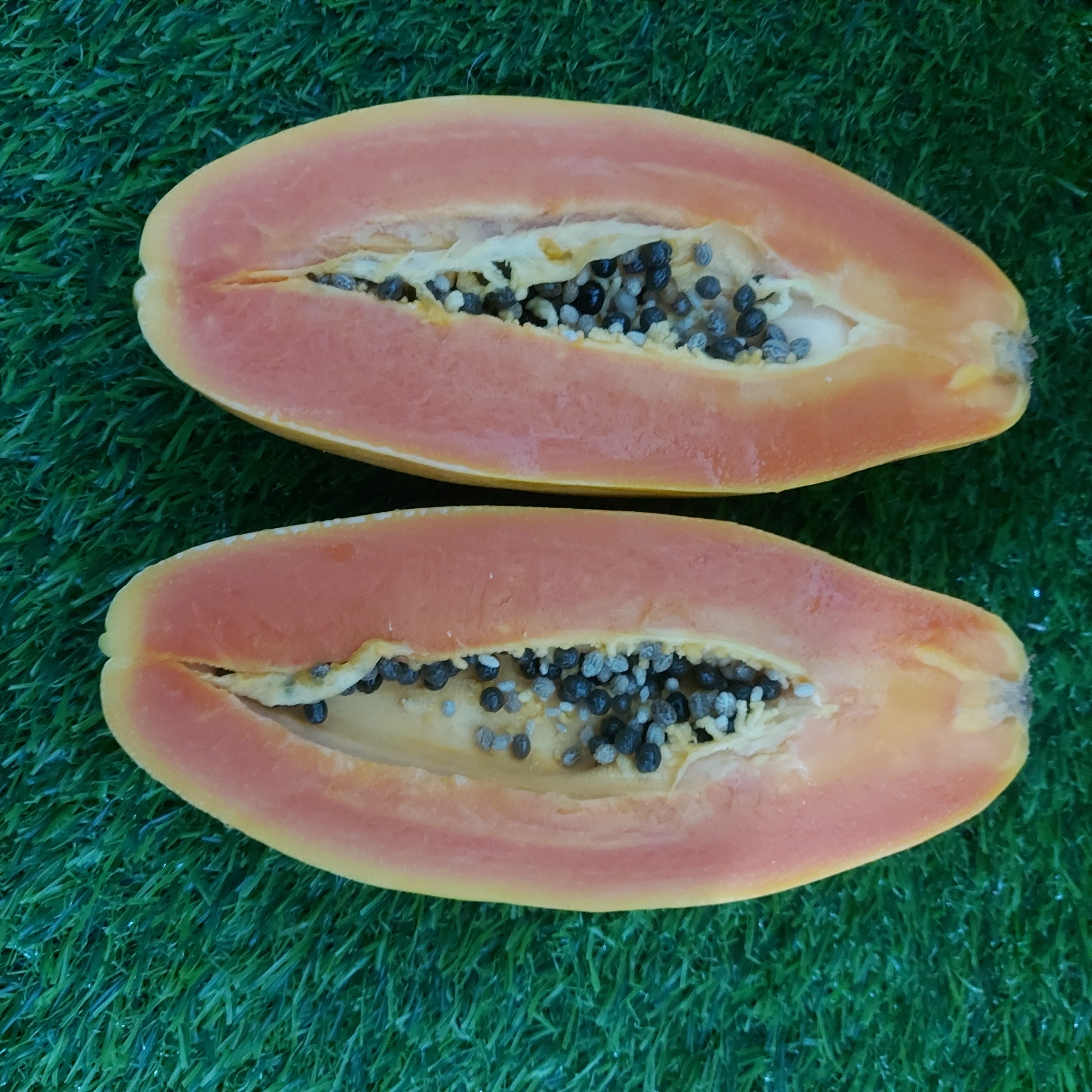 Organic Local Red Lady Papaya - order price / kilo