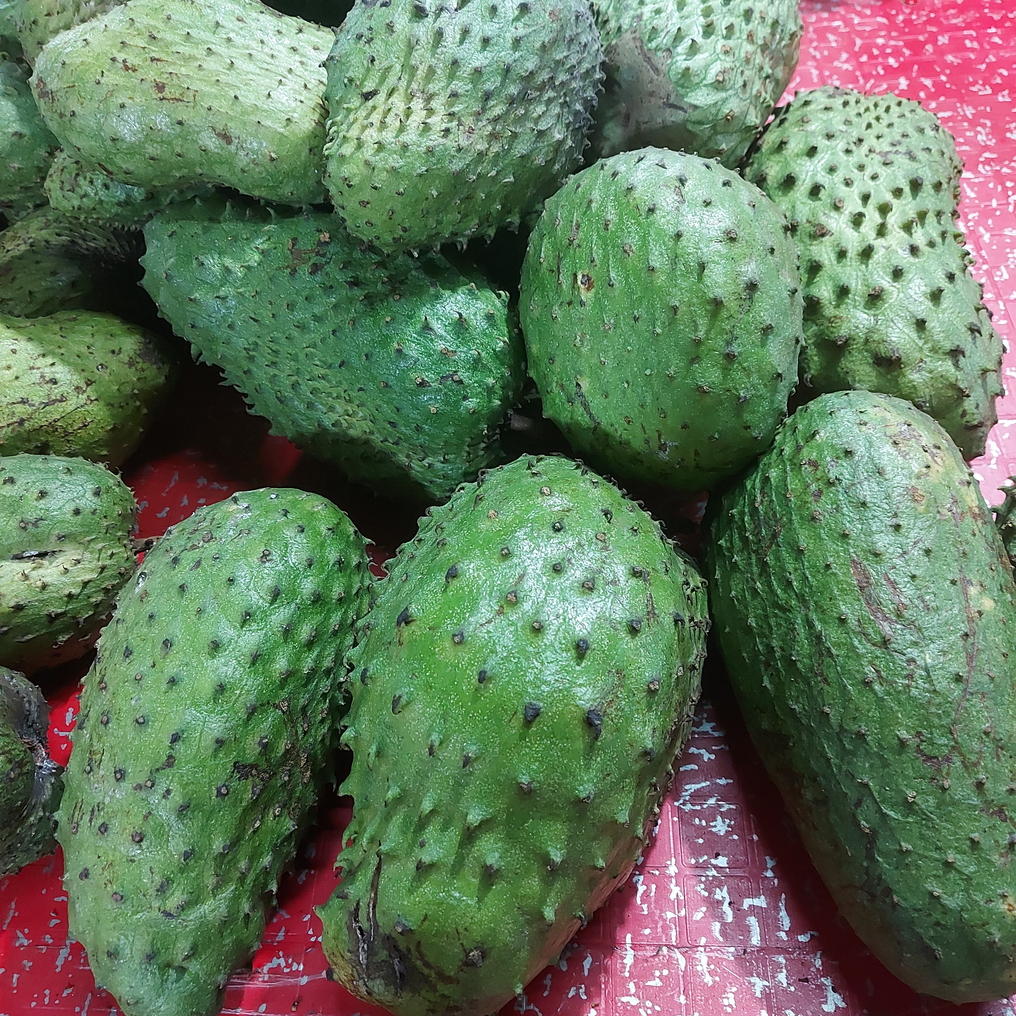 Fresh Davao Guyabano [Soursop | Sour sop] Fruit - order price / kilo