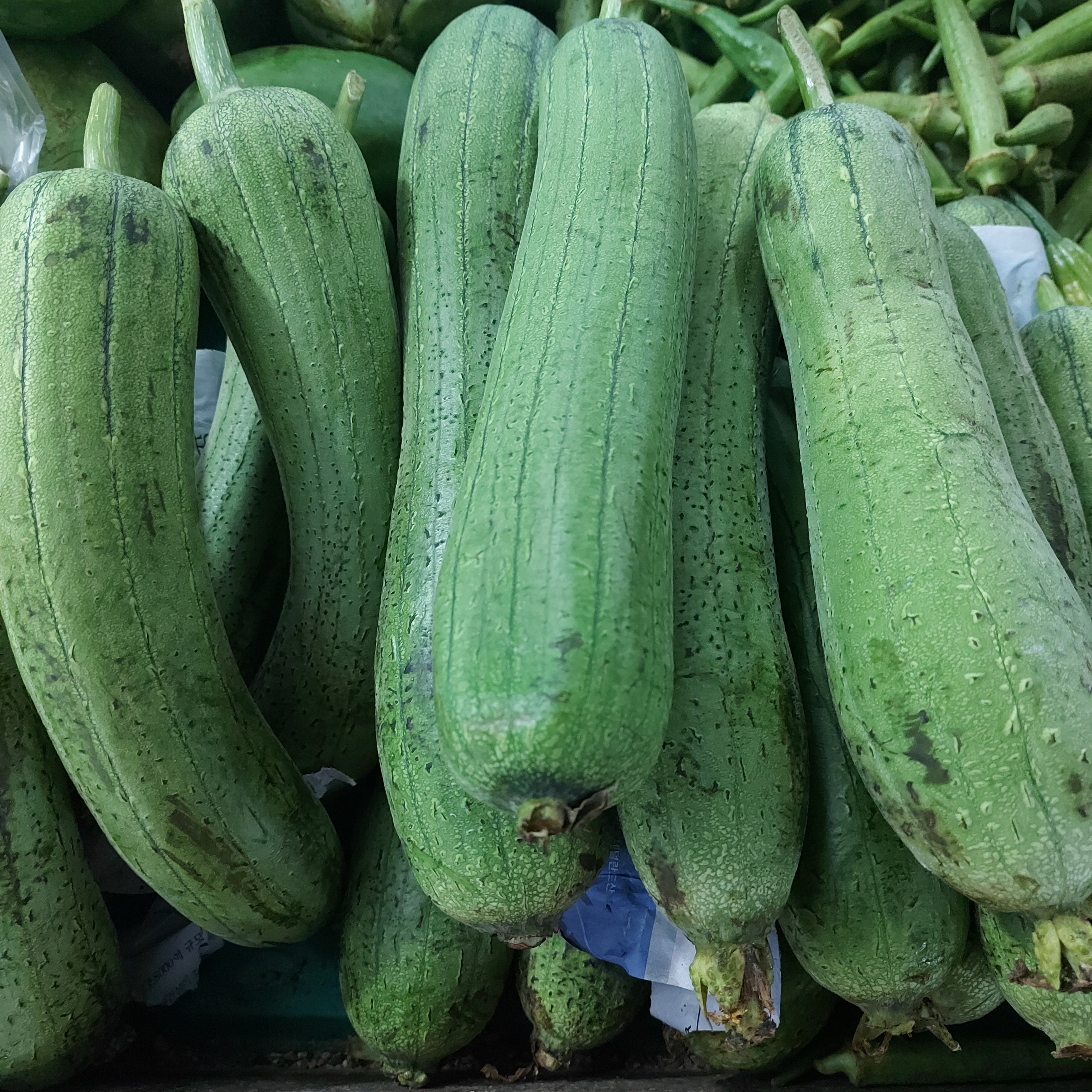 ヘチマ（パトラキニス） - 注文価格/500グラム