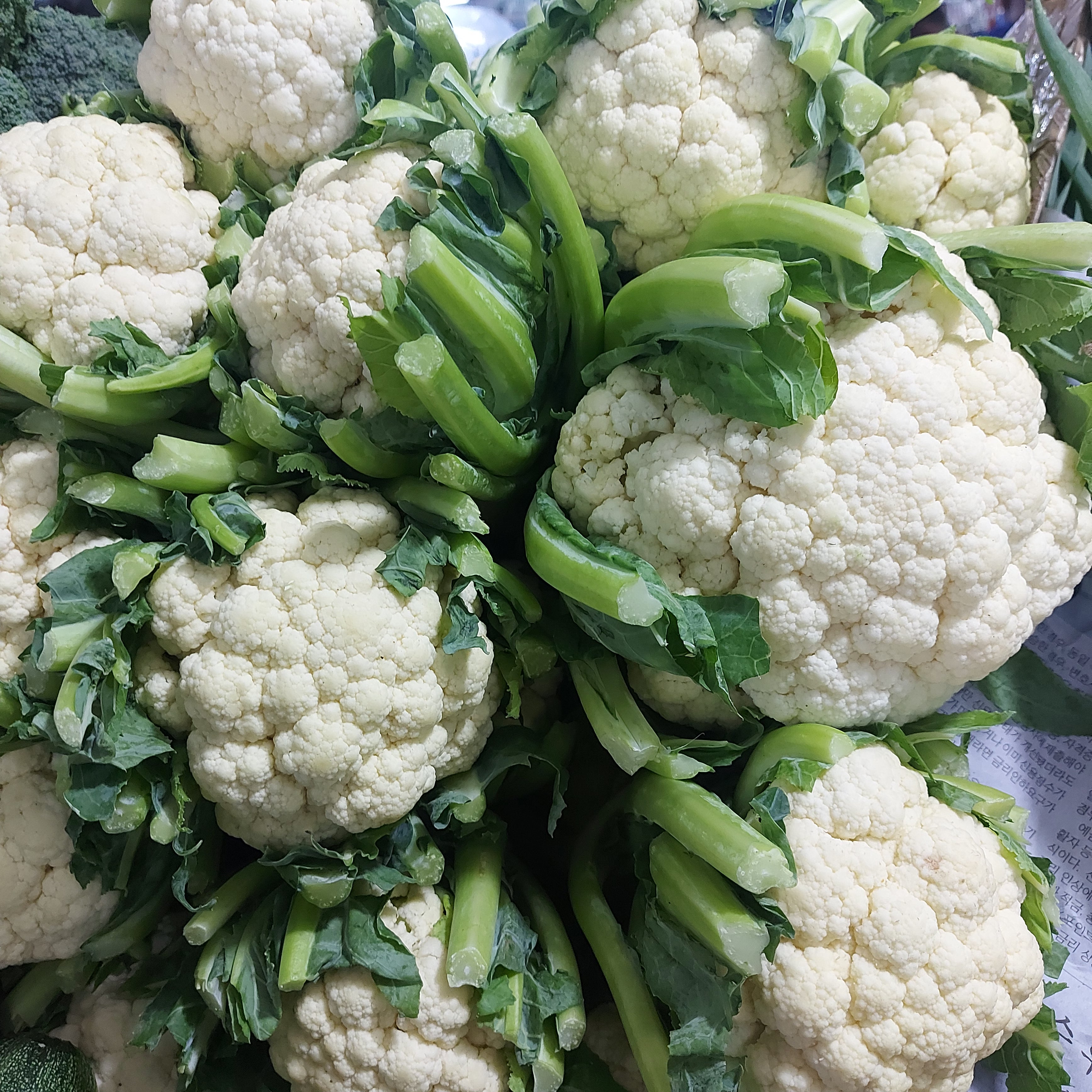Fresh Local, Organic, & Imported Vegetables – Farm2Metro