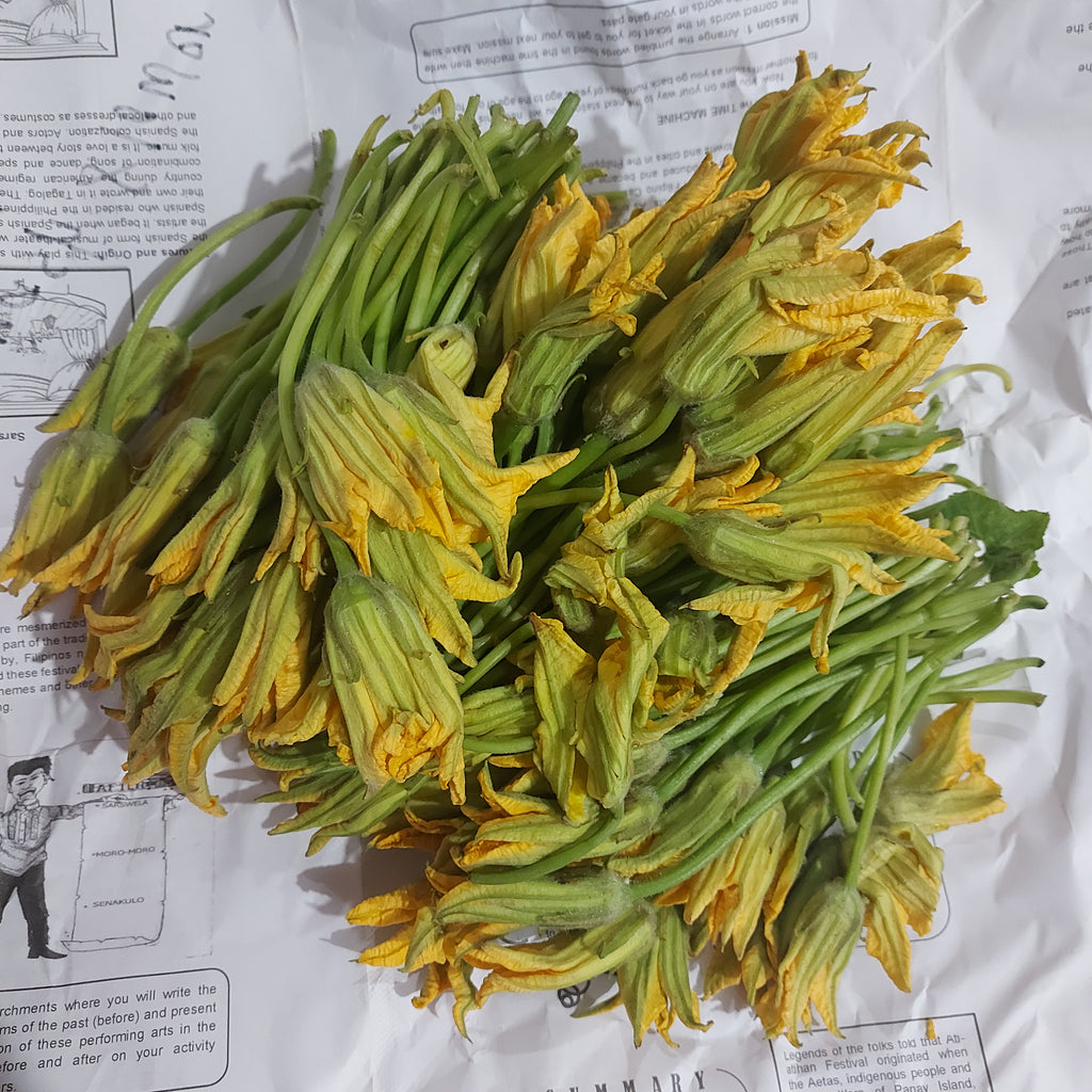 スカッシュブロッサム | スカッシュブロッサム花 [Bulaklak ng Kalabas] - 注文価格 / バンドルあたり