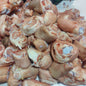 Fresh-cut Pork Leg [Pata with Skin] Chopped - order price / 500 grams