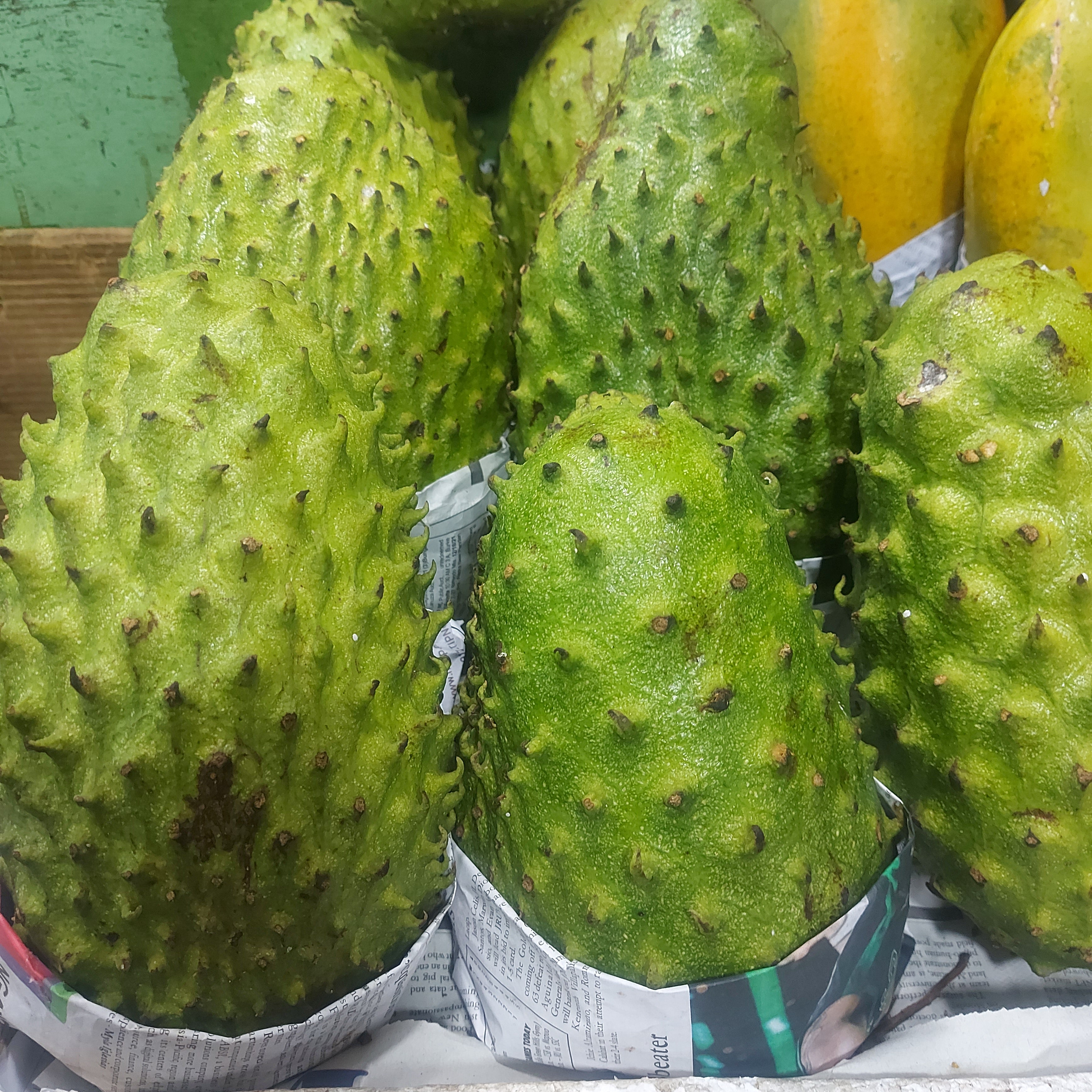 Fresh Davao Guyabano [Soursop | Sour sop] Fruit - order price / kilo