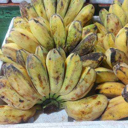 Fresh Local [SABA] Banana / Piling (Wt.2-3 kls.)