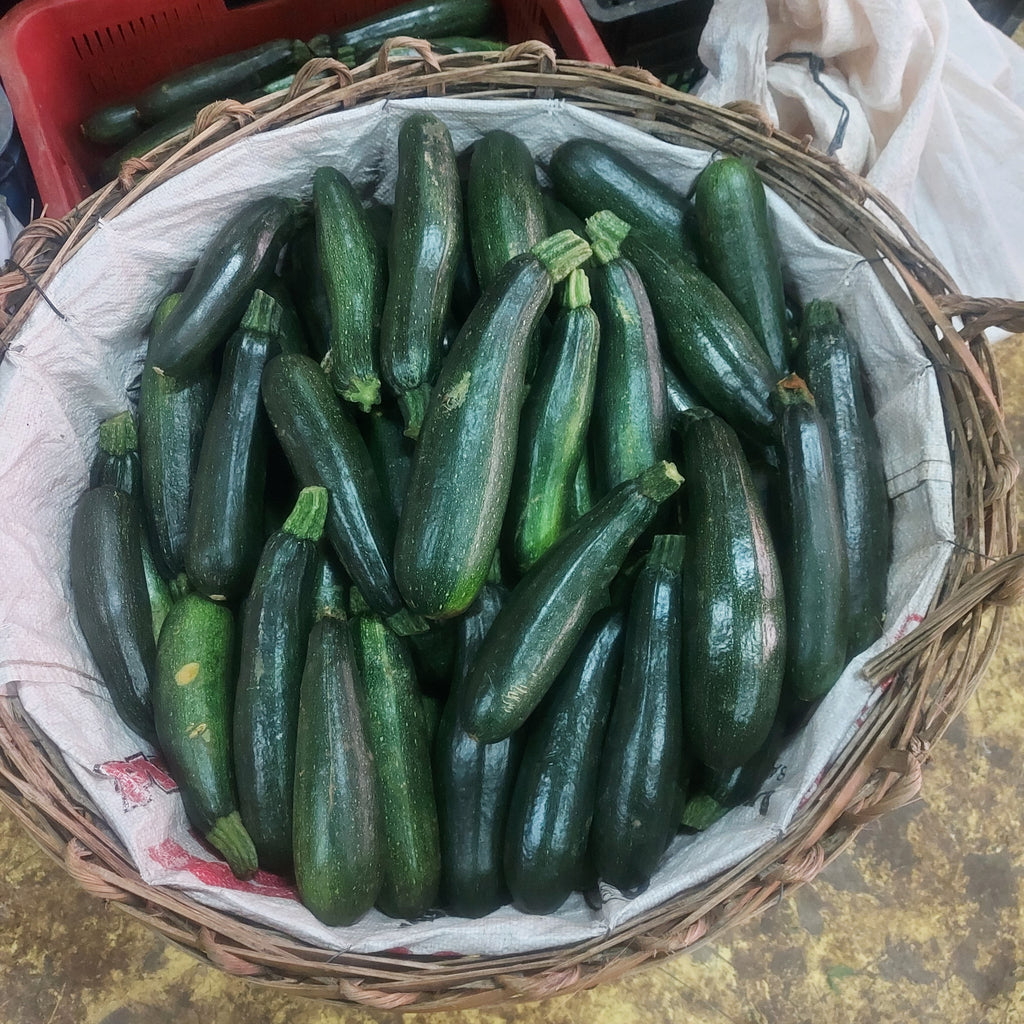 新鮮な地元の有機ズッキーニ - 注文価格 / キロ