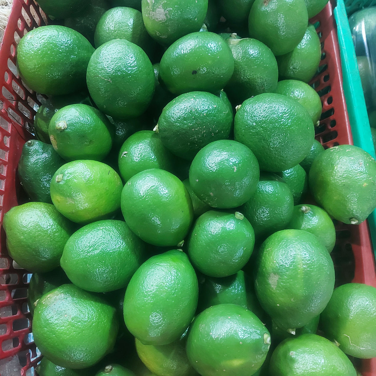 Native Organic Lime (Dayap) – Farm2Metro