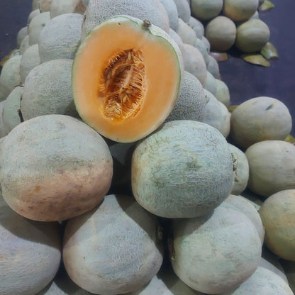 Fresh Local Cantaloupe [Melon] order price / kilo minimum weight 1-2kls each fruit.