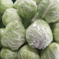 Fresh Local Organic Green Cabbage - order price / kilo - Farm2Metro