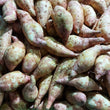 Local Organic YELLOW Sweet Potato [Camote | Kamote]- order price / 500 grams