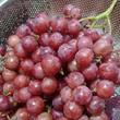 Australian Sweet 'Seedless' Red Grapes - order price / 500 grams