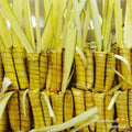 Famous Antipolo 'Ibos' Suman (sweetened rice cake) - order price / dozen - Farm2Metro