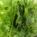 Fresh Organic Chinese Parsley (Kinchay) order price / 50 grams - Farm2Metro