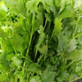 Fresh Organic Chinese Parsley (Kinchay) order price / 50 grams - Farm2Metro