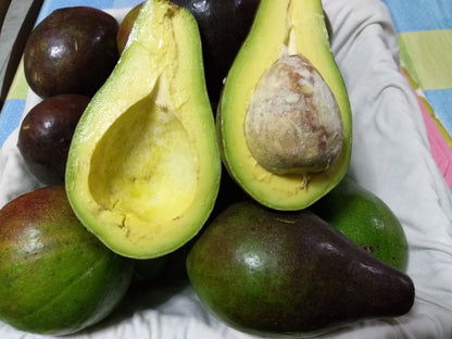 Fresh Davao Avocado Large size - order price / per piece - Farm2Metro