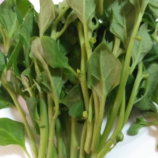 Fresh Local Organic Spinach - order price / kilo - Farm2Metro