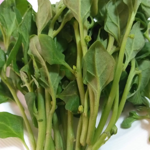 Fresh Local Organic Spinach - order price / kilo - Farm2Metro