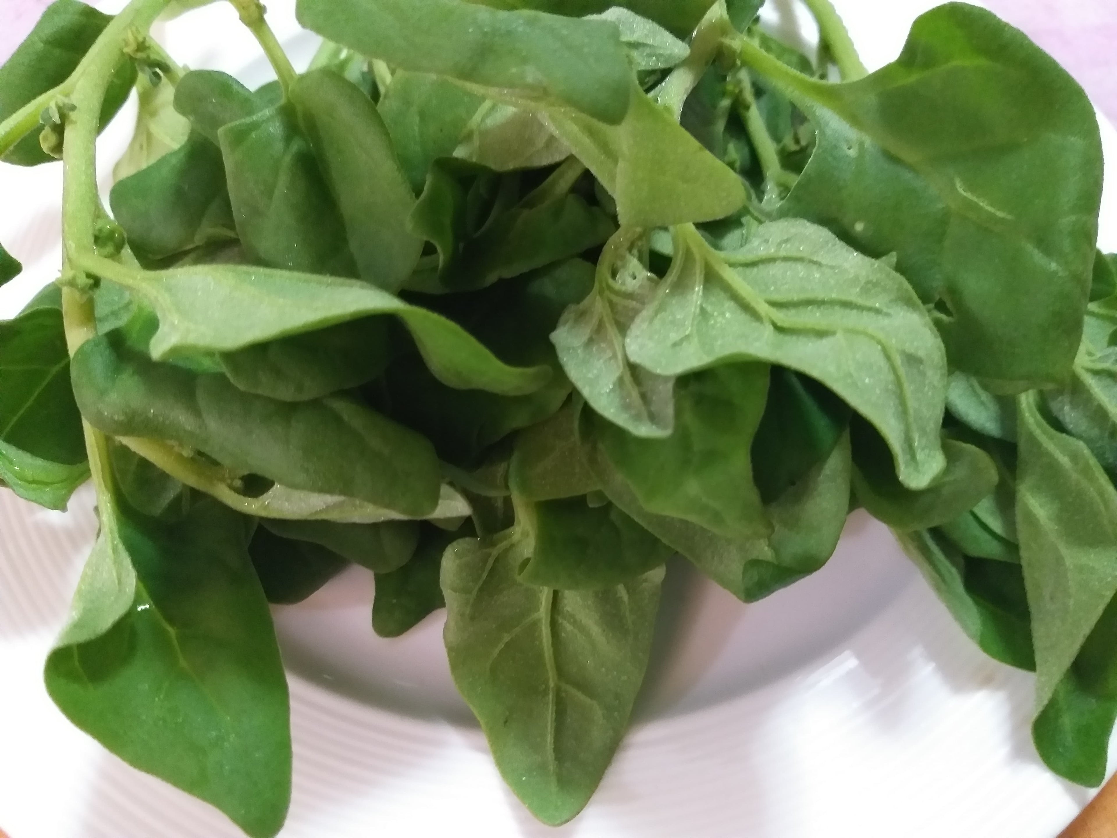 Fresh Local Organic Spinach - order price / kilo - Farm2Metro