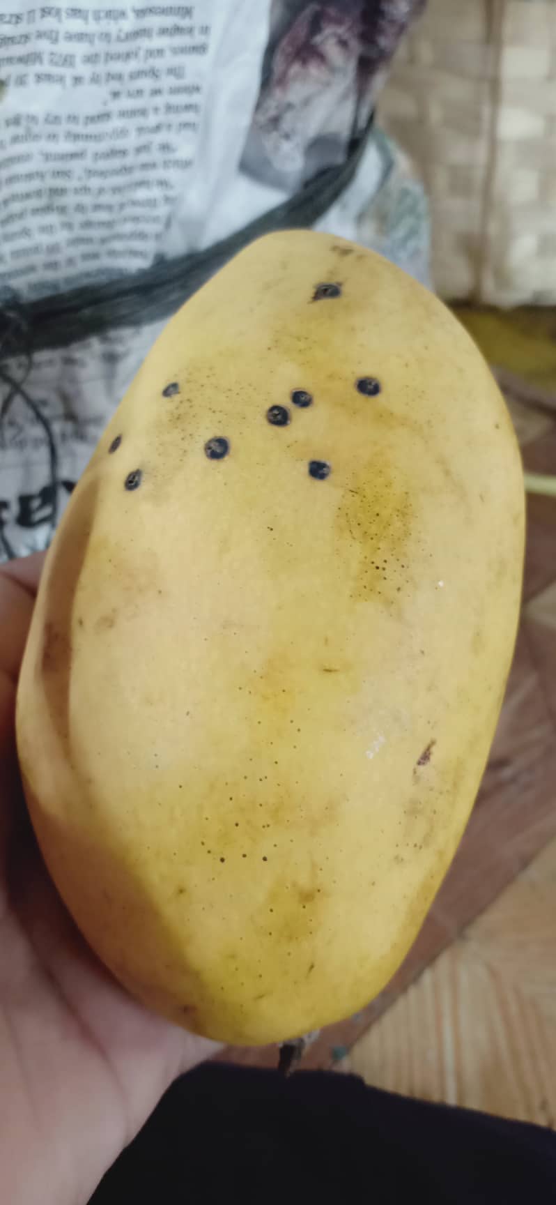 Fresh Davao Mango with Blemishes - order price/ per box - Farm2Metro