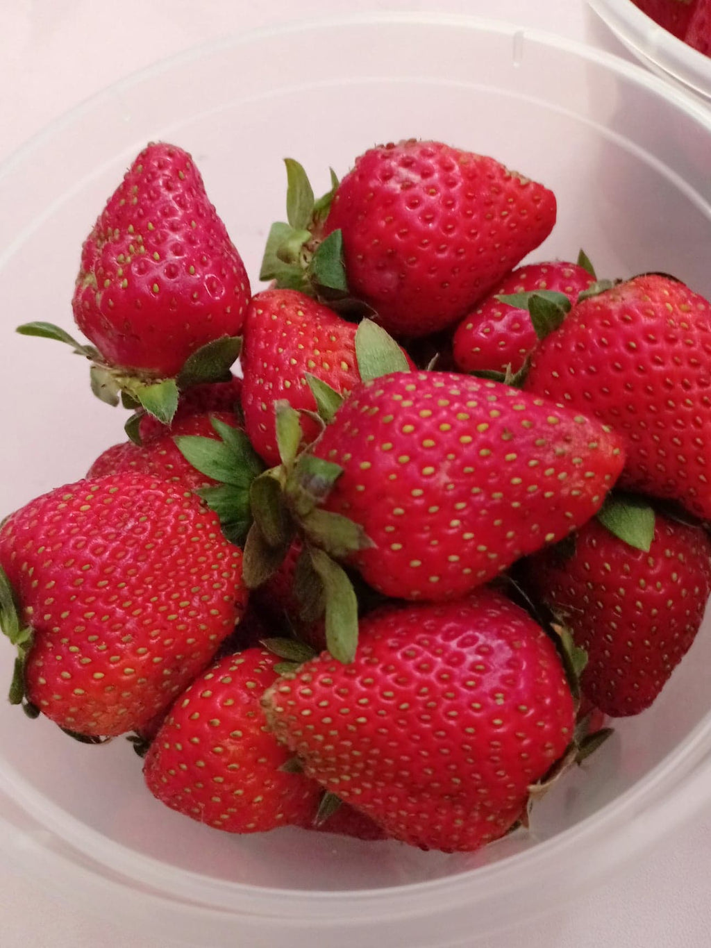 Fresh Local Strawberry - order price / 500 grams - Farm2Metro
