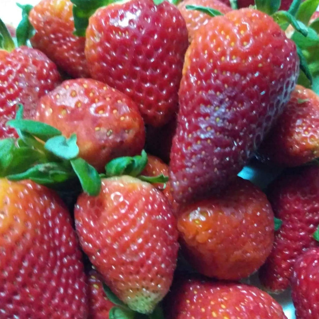 Fresh Local Strawberry - order price / 250 grams - Farm2Metro