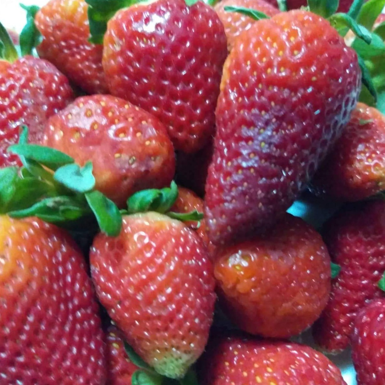 Fresh Local Strawberry - order price / 250 grams - Farm2Metro