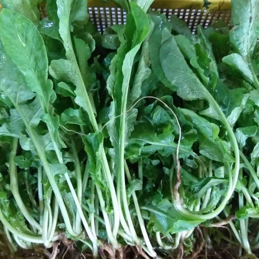 Fresh Organic Arugula - order price / 250 grams - Farm2Metro