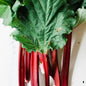 Fresh Organic Rhubarb - order price / kilo - Farm2Metro