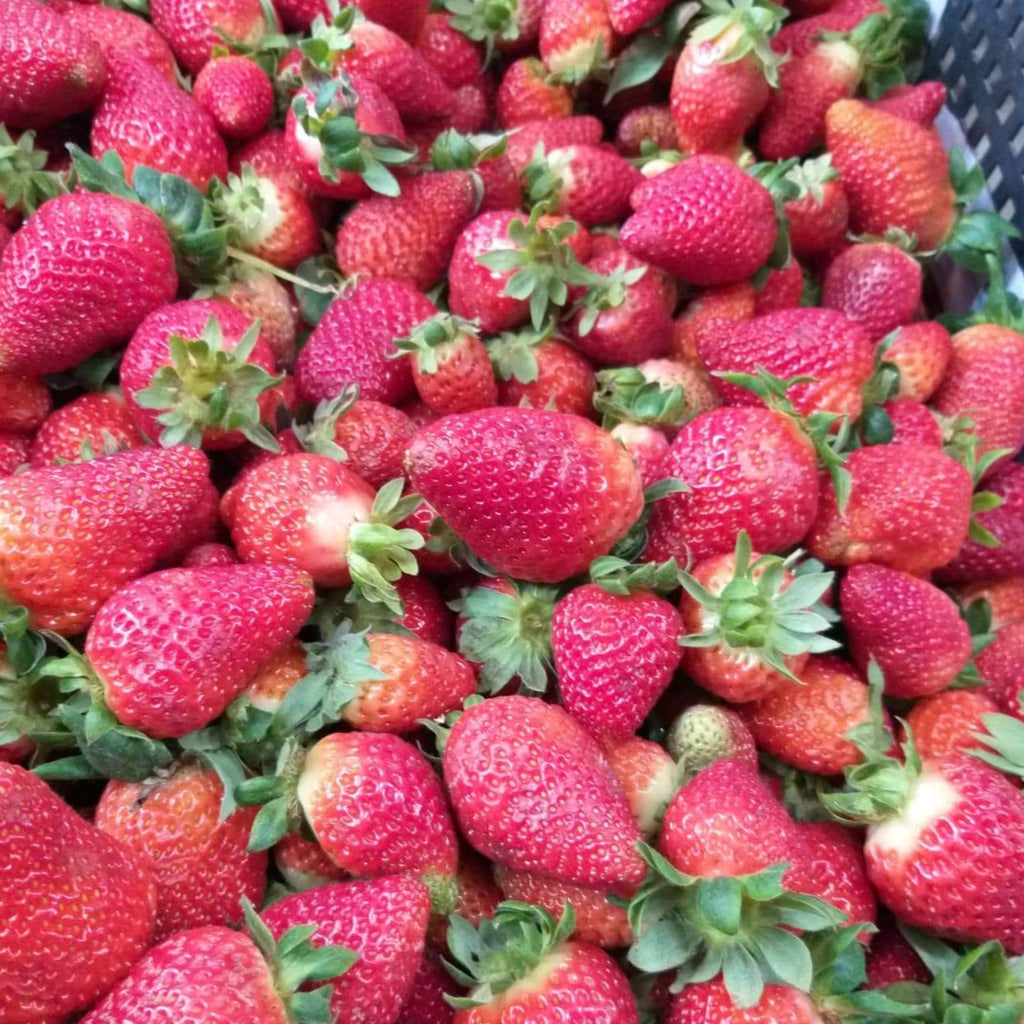 Fresh Local Strawberry - order price / 250 grams - Farm2Metro