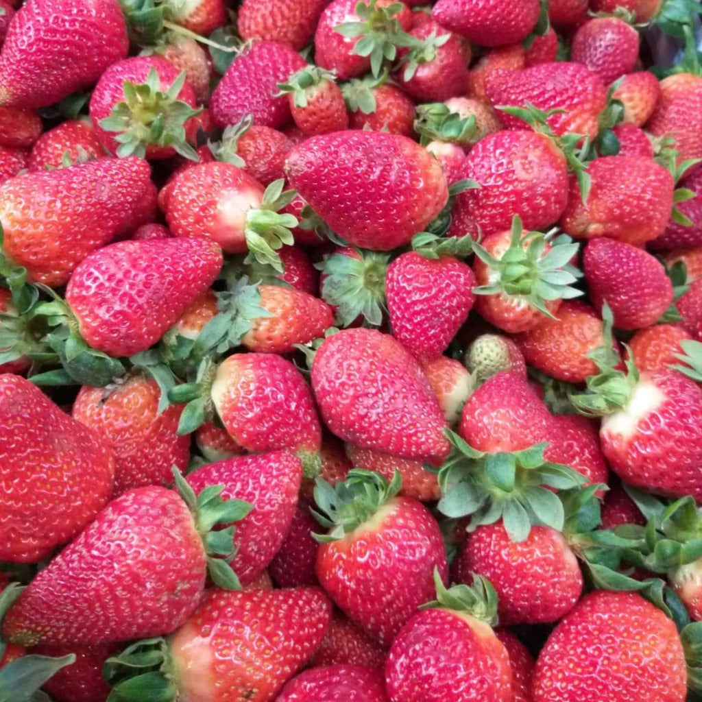Fresh Local Strawberry - order price / kilo - Farm2Metro