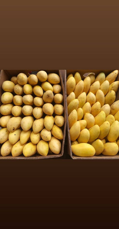 Fresh Davao Ripe Mangoes Kinalabaw (order price/500 grams) - Farm2Metro