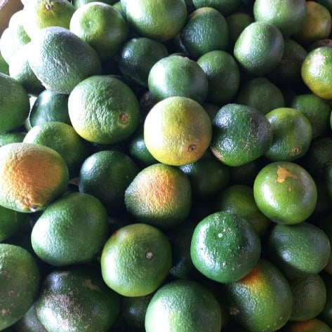 Sweet Local Citrus Fruit - order price / 500 grams - Farm2Metro