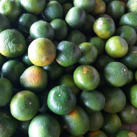 Sweet Local Citrus Fruit - order price / kilo - Farm2Metro