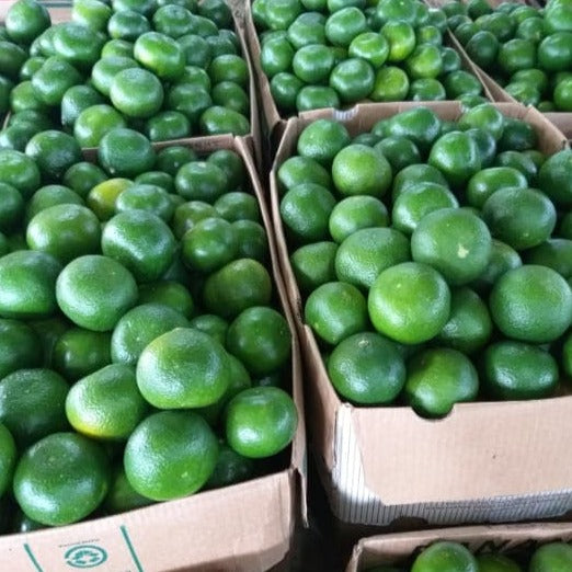 Sweet Local Citrus Fruit - order price / 500 grams - Farm2Metro