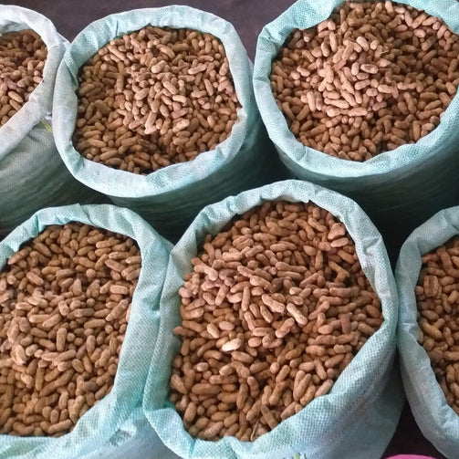 Fresh Peanuts from Ilocos Region (order price/per 500 grams) - Farm2Metro