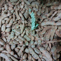 Fresh Local Tamarind [Sampaloc]- order price / 250 grams