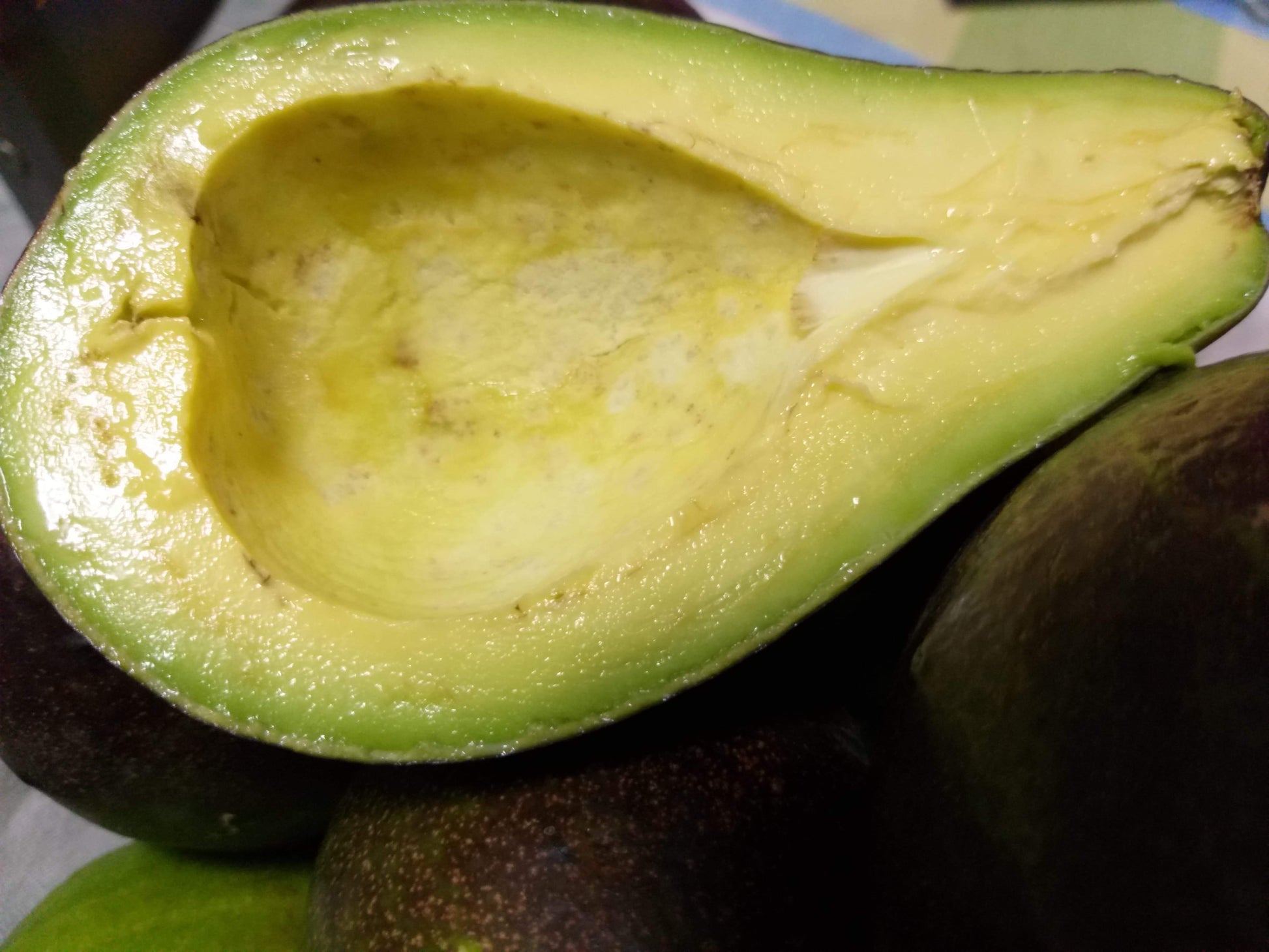 Fresh Davao Avocado Large size - order price / per piece - Farm2Metro