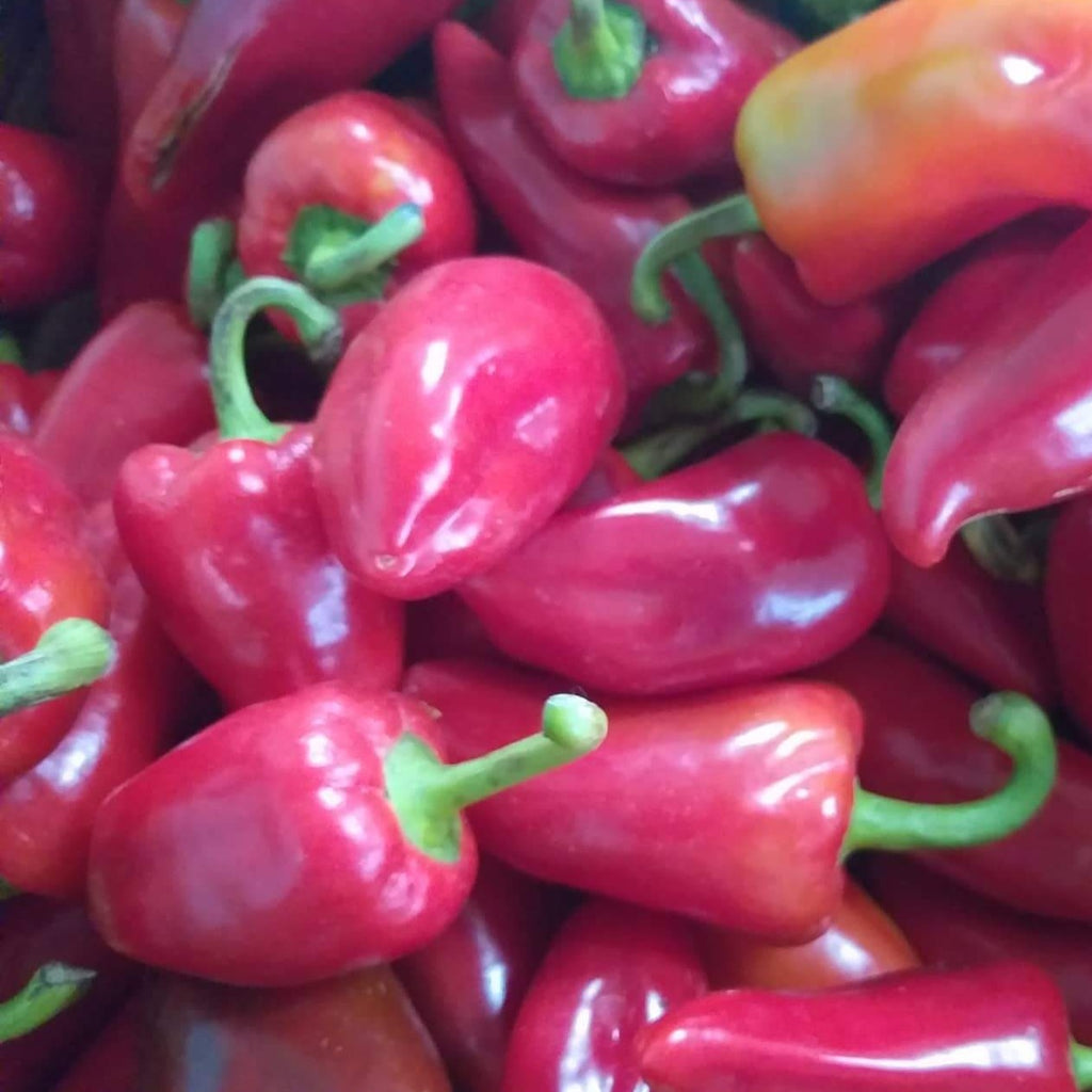 Fresh Organic Red Bell Pepper - order price / 250 grams - Farm2Metro