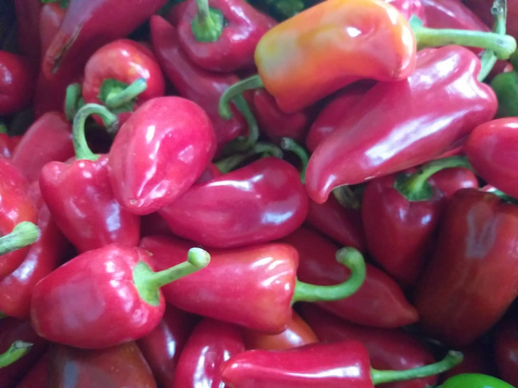 Fresh Organic Red Bell Pepper - order price / 500 grams - Farm2Metro